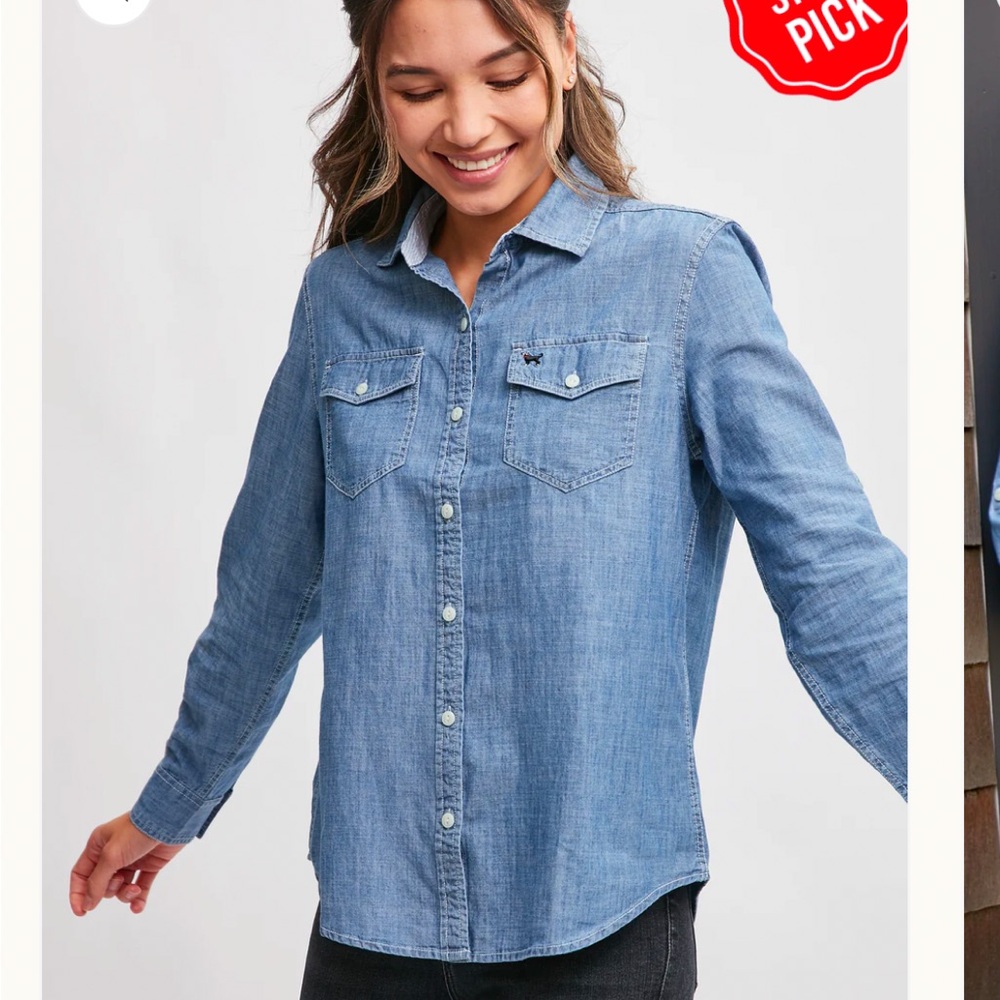 The Black Dog Celestial Chambray Button Down Shirt Classic Fit